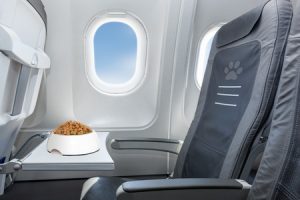 Transporte de mascotas por avión